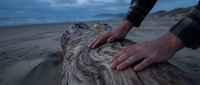 Hands touching weathered driftwood log on sandy beach at twilight with ocean waves and cloudy sky creating peaceful coastal meditation moment.