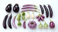 Assorted purple eggplant varieties arranged on white background including Japanese, Italian, Thai and baby eggplants for cooking and culinary use.