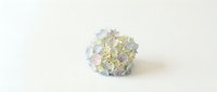 Delicate hydrangea flower head with soft blue and green petals isolated on clean white background for wedding decor and floral design projects.