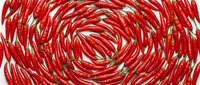 Red chili peppers arranged in spiral pattern on white background, isolated for design use on merchandise, packaging, and culinary marketing materials.