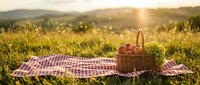 Wicker basket with fresh apples and grapes on red checkered blanket in sunny meadow, warm golden light, summer outdoor picnic scene.