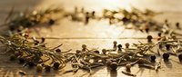 Dried chamomile flowers and buds scattered on wooden surface, ready for herbal tea brewing or natural medicine preparation.