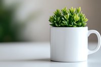 Small green succulent plant growing in white ceramic coffee mug on minimal light background, modern home decor and interior styling concept.