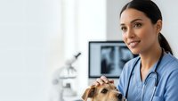 Female Hispanic veterinarian in blue scrubs holding small brown dog in modern clinic with X-ray monitor and microscope for pet healthcare and medical examination.