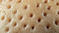 Macro shot of light brown foam texture with bubbles and droplets creating abstract pattern. Natural coffee crema or beer froth surface with detailed bubble formations.