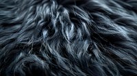 Dark gray fluffy fur texture close up with long wavy strands creating abstract natural pattern. Soft furry surface background for design projects.