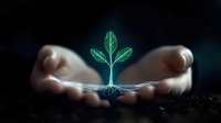 Glowing green plant seedling with roots floating above cupped hands against dark background, representing growth, nurturing and environmental protection.