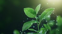 Young green plant sprout with glowing network connections and sparkles against dark background shows growth, innovation and environmental technology concept.