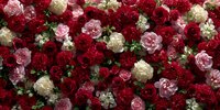 Luxurious floral wall arrangement with red, pink and white roses creating romantic backdrop for weddings, events and elegant interior design projects.