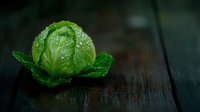 Fresh green cabbage with water drops on dark wooden background, dramatic lighting creates moody atmosphere for food photography and healthy eating concept.