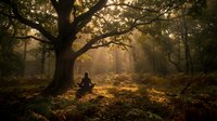Solitary figure sits beneath ancient oak tree in mystical forest with golden sunlight filtering through autumn branches creating peaceful meditation scene.