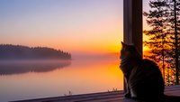 Woman silhouette enjoying peaceful sunrise over calm lake from wooden deck. Serene morning meditation moment with golden sky reflection on water surface.