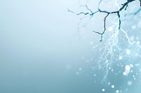 Delicate winter tree branches with frost crystals against soft blue background, creating ethereal nature scene with bokeh light effects and dreamy atmosphere.