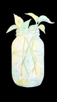 Watercolor illustration of delicate plant stems with pale yellow and mint green leaves arranged in a clear glass jar filled with water, isolated on transparent background, ready for t-shirt designs, stickers, and print-on-demand products.