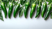 Fresh green jalapeno peppers arranged in row with leaves on white background, top view. Raw organic chili peppers for Mexican cuisine and spicy food.