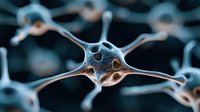 Microscopic view of neuron cell network in blue and orange tones showing synaptic connections and dendrites. Scientific medical visualization for neuroscience research.