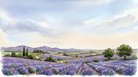 Lavender field landscape with rolling hills, cypress trees, and distant mountains under soft cloudy sky. Ideal for travel, agriculture, nature, and wellness design projects.