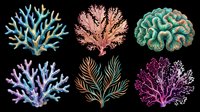 Coral reef branches isolated on transparent background, ready for clipart, t-shirt design, stickers, print-on-demand products, sublimation and digital crafts.