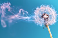 Magical dandelion seed head transforming into dollar sign shaped smoke against turquoise blue background, representing financial growth and wealth manifestation concept.