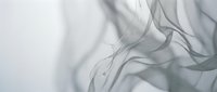 Flowing translucent gray fabric with soft, ethereal waves and delicate folds creating an abstract, dreamy composition for design and creative projects.