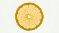 Sliced lemon half isolated on white background, fresh citrus fruit cross-section for food and beverage design projects.