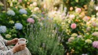 Person holding ceramic mug in garden surrounded by blooming flowers and lavender plants. Outdoor lifestyle scene for beverage, gardening, and wellness marketing.