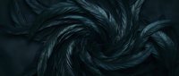 Dark blue feathers swirling in dynamic spiral pattern creating abstract textural background for luxury design projects and artistic compositions.