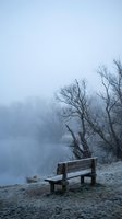 Misty lake shore with wooden bench and bare trees in foggy winter morning creating peaceful solitude atmosphere for meditation and reflection.