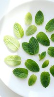 Fresh mint leaves arranged on white ceramic plate for culinary and herbal tea preparation in kitchen setting.