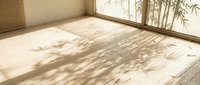 Empty room interior with natural sunlight casting bamboo leaf shadows on wooden floor through large windows creating peaceful zen atmosphere.