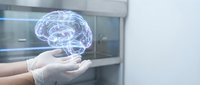 Hands holding glowing digital brain hologram in modern office environment representing artificial intelligence, neuroscience and innovative technology solutions.