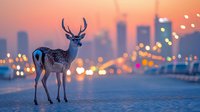 Majestic deer standing on urban bridge with blurred city skyline and bokeh lights in background during sunset, creating surreal wildlife scene.