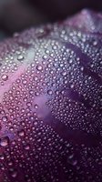 Macro shot of water droplets on a curved purple surface with soft bokeh background, suitable for abstract, nature, and texture design projects.