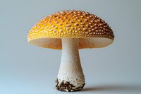 Detailed macro shot of amanita muscaria mushroom with orange-yellow spotted cap and white stem against light background, showing natural texture and form.