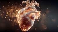 Glowing anatomical heart with golden light particles and bokeh effects on dark background for medical education and healthcare concepts.