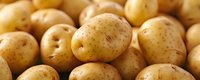 Fresh raw yellow potatoes with brown spots and natural texture in warm lighting, macro food photography showing organic produce details and patterns.