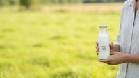 Close-up of farmer's hands holding fresh milk bottle in rural field setting, promoting organic dairy products and sustainable agriculture practices.