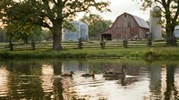 Ducks swimming in pond with red barn, white silos, and wooden fence in rural farmland setting for agricultural and countryside themes.