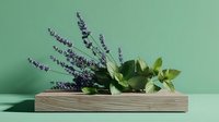 Fresh lavender and mint herbs arranged on wooden platform against soft green background for natural wellness and aromatherapy concepts.