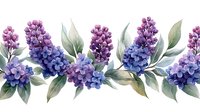 Watercolor lilac and hydrangea seamless border with sage green leaves on white background, floral arrangement in purple and blue tones for design projects.