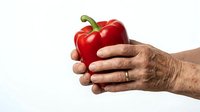 Mature adult male hand holding fresh red bell pepper against white background, suitable for healthy eating, nutrition, organic produce, and food marketing campaigns.
