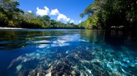 Tranquil tropical lagoon with crystal clear turquoise water showing split view above and below surface, lush green forest shoreline and white clouds reflected in calm waters.