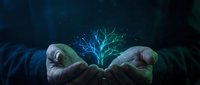 Hands holding glowing tree with blue and green light energy against dark background, representing growth, innovation, and environmental sustainability concepts.