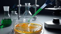 Laboratory scientist using pipette to add green solution to petri dish with bacterial cultures in modern research facility for medical testing.