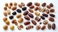 Assorted dried dates and pitted varieties arranged on white background, showcasing different types and colors for food, nutrition, culinary, and ingredient design projects.