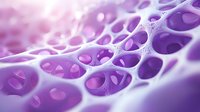 Microscopic view of organic cellular structure in purple and pink tones showing interconnected chambers and membranes, suitable for medical and scientific visualization.