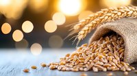 Golden wheat grains spilling from burlap sack with warm bokeh lights creating harvest atmosphere for agricultural and food industry concepts.