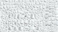 Water drops on glass surface creating natural abstract pattern with light gray tones and varied droplet sizes. Clean minimalist background for modern designs.