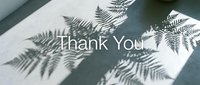 Fern leaf shadows cast on a light surface with Thank You text overlay, minimal and elegant greeting card concept.