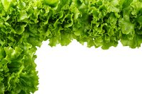 Fresh green lettuce leaves border frame isolated on white background for healthy salad design and culinary projects.